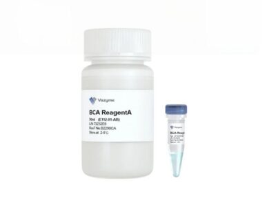 Vazyme BCA Protein Quantification Kit (E112)