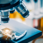 Biotinylated Recombinant SARS Spike S1-Fc-Avi Protein: BP003074 Syd Labs