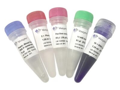 Vazyme Blood Direct PCR Kit V2 (PD103)