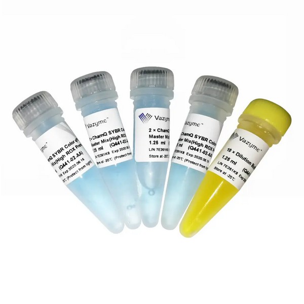 Vazyme ChamQ SYBR Color qPCR Master Mix (High ROX Premixed) (Q441) Vazyme ChamQ SYBR Color qPCR Master Mix (High ROX Premixed) (Q441)