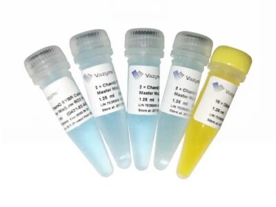 Vazyme ChamQ SYBR Color qPCR Master Mix (Low ROX Premixed) (Q431)