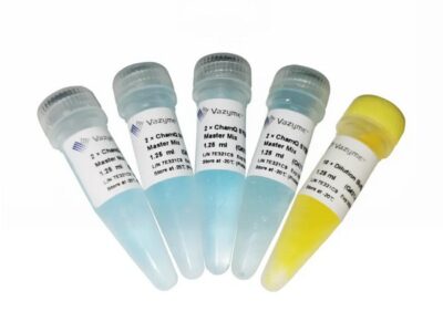 Vazyme ChamQ SYBR Color qPCR Master Mix (Without ROX) (Q421)
