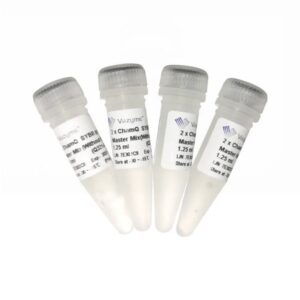 Vazyme ChamQ SYBR qPCR Master Mix (Without ROX) (Q321)