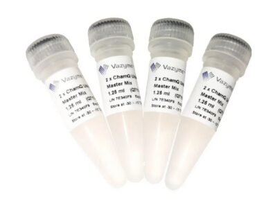 Vazyme ChamQ Universal SYBR qPCR Master Mix (Q711)