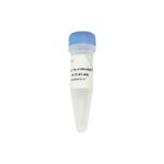 Vazyme Champagne Taq antibody (P121-01)