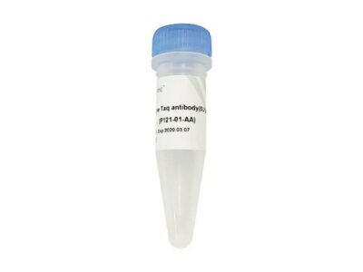 Vazyme Champagne Taq antibody (P121-01)