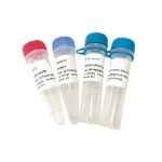 Vazyme ClonExpress II One Step Cloning Kit (C112)