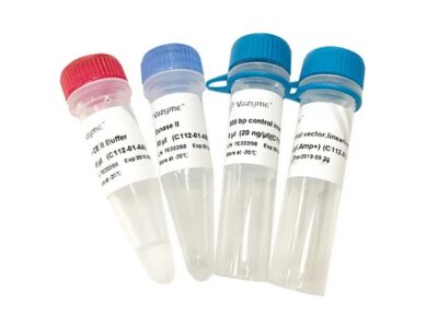 Vazyme ClonExpress II One Step Cloning Kit (C112)