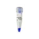 Vazyme DL15000 DNA Marker (MD103)