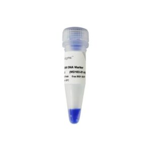 Vazyme DL15000 DNA Marker (MD103)
