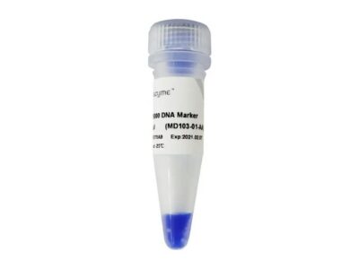 Vazyme DL15000 DNA Marker (MD103)