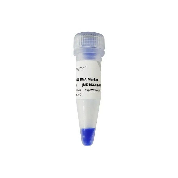 Vazyme DL15000 DNA Marker (MD103)