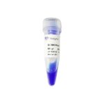 Vazyme DL2000 Plus DNA Marker (MD101)