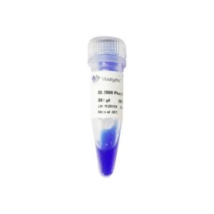 Vazyme DL2000 Plus DNA Marker (MD101)