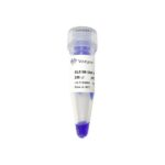 Vazyme DL5000 DNA Marker (MD102)