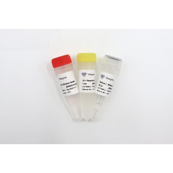 Vazyme DNase I , RNase-free (EN401-402) Vazyme DNase I , RNase-free (EN401-402)
