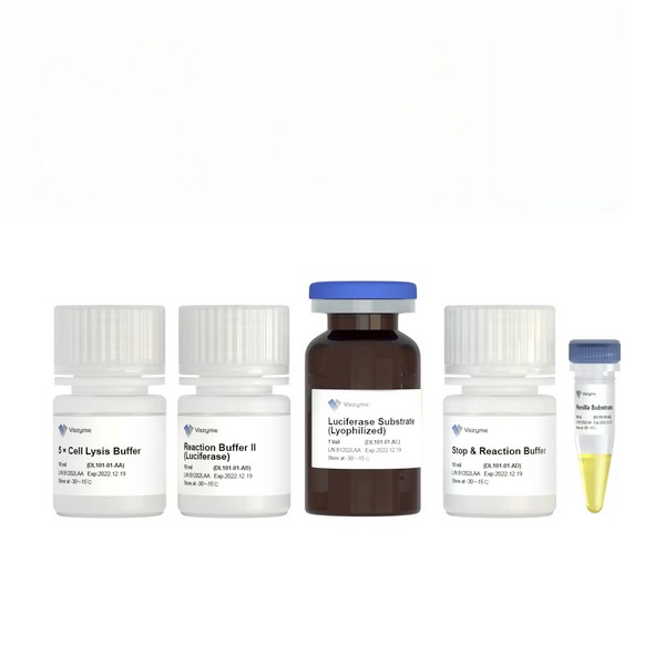 Dual Luciferase Reporter Assay Kit (DL101-01) | Vazyme | Ushelf