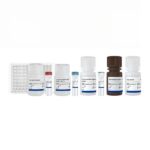 Vazyme EasyAna dsRNA (Modified) Quantitative Detection Kit (ELISA) 2.0 (DD3509EN)