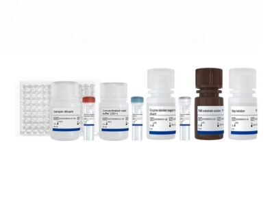 Vazyme EasyAna dsRNA (Modified) Quantitative Detection Kit (ELISA) 2.0 (DD3509EN)