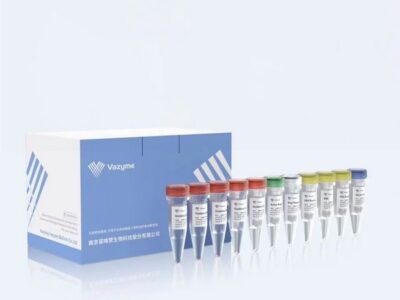 Vazyme EpiArt DNA Enzymatic Methylation Kit (EM301)