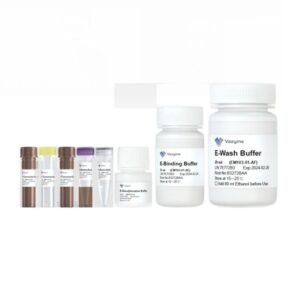 Vazyme EpiArt Magnetic DNA Methylation Bisulfite Kit (EM103)