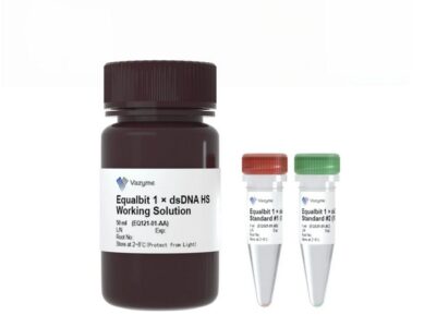 Vazyme Equalbit 1x dsDNA HS Assay Kit (EQ121)