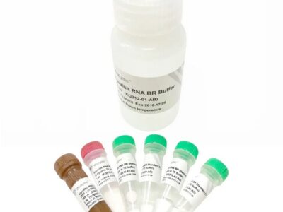 Vazyme Equalbit RNA BR Assay Kit (EQ212)