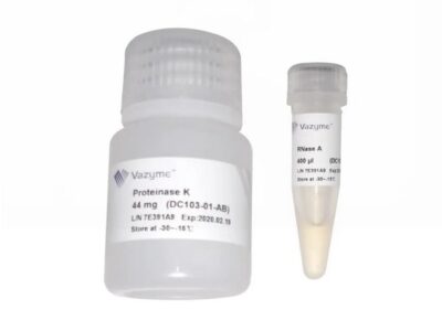 Vazyme FastPure Bacteria DNA (DC103-01)
