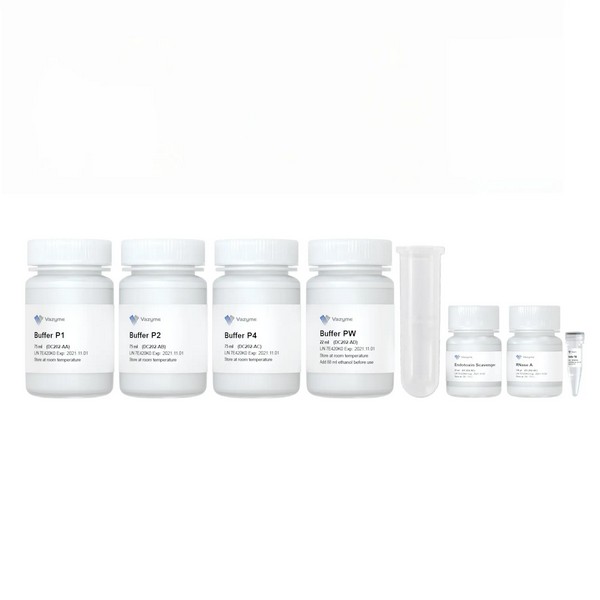 Vazyme FastPure EndoFree Plasmid Maxi Kit (DC202-01) Vazyme FastPure EndoFree Plasmid Maxi Kit (DC202-01)