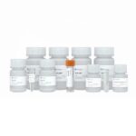 Vazyme FastPure EndoFree Plasmid Mini Kit (DC203-01)