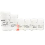 Vazyme FastPure FFPE DNA Isolation Kit (DC105-01)