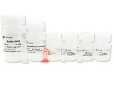 Vazyme FastPure FFPE DNA Isolation Kit (DC105-01)