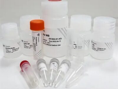 Vazyme FastPure Microbiome DNA Isolation Kit (DC502-01)