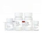 Vazyme FastPure Viral DNA/RNA Mini Kit Pro (RC323-01)