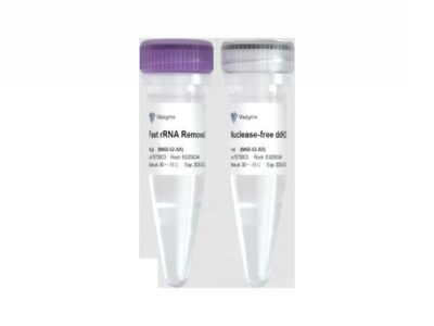 Vazyme FastSelect rRNA Kit (Human) (N460)
