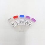 Vazyme HiScript II 1st Strand cDNA Synthesis Kit (R211)