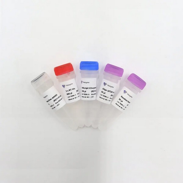 Vazyme HiScript II 1st Strand cDNA Synthesis Kit (R211)