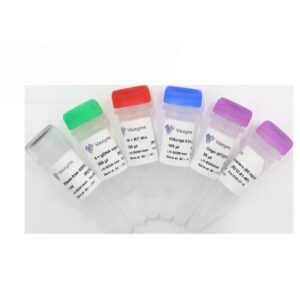 Vazyme HiScript II 1st Strand cDNA Synthesis Kit (+gDNA wiper) (R212)