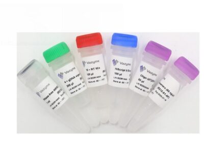 Vazyme HiScript II 1st Strand cDNA Synthesis Kit (+gDNA wiper) (R212)