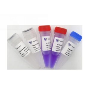 Vazyme HiScript II One Step RT-PCR Kit (Dye Plus) (P612-01)
