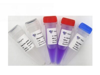 Vazyme HiScript II One Step RT-PCR Kit (Dye Plus) (P612-01)