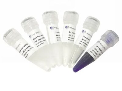 Vazyme HiScript II One Step RT-PCR Kit (P611-01)