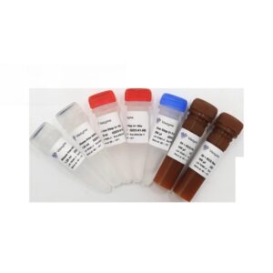 Vazyme HiScript II One Step qRT-PCR Probe Kit (Q223-EN01)