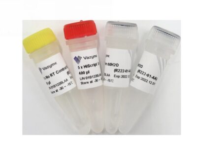 Vazyme HiScript II Q RT SuperMix for qPCR (R222-01)