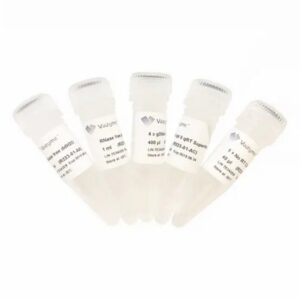 Vazyme HiScript II Q RT SuperMix for qPCR (+gDNA wiper) (R223-01)