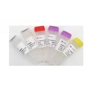 Vazyme HiScript II Q Select RT SuperMix for qPCR (R232-01)