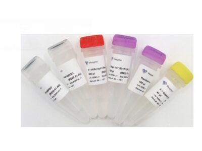 Vazyme HiScript II Q Select RT SuperMix for qPCR (R232-01)