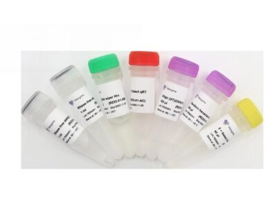 Vazyme HiScript II Q Select RT SuperMix for qPCR (+gDNA wiper) (R233-01)