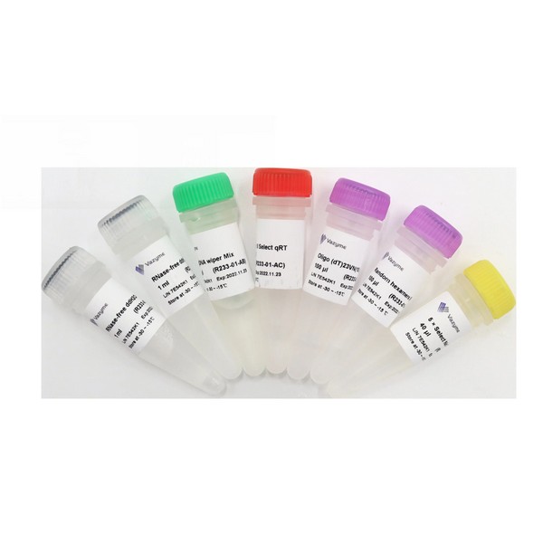 Vazyme HiScript II Q Select RT SuperMix for qPCR (+gDNA wiper) (R233-01) Vazyme HiScript II Q Select RT SuperMix for qPCR (+gDNA wiper) (R233-01)