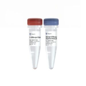 Vazyme HiScript II Reverse Transcriptase (Glycerol-free) (RL201)